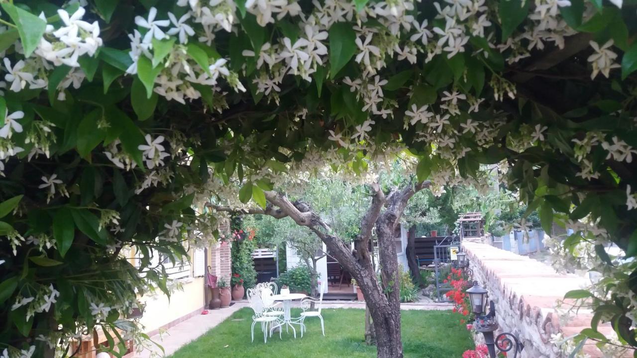 Appartamento Ca del Lago Misano Misano Adriatico Esterno foto
